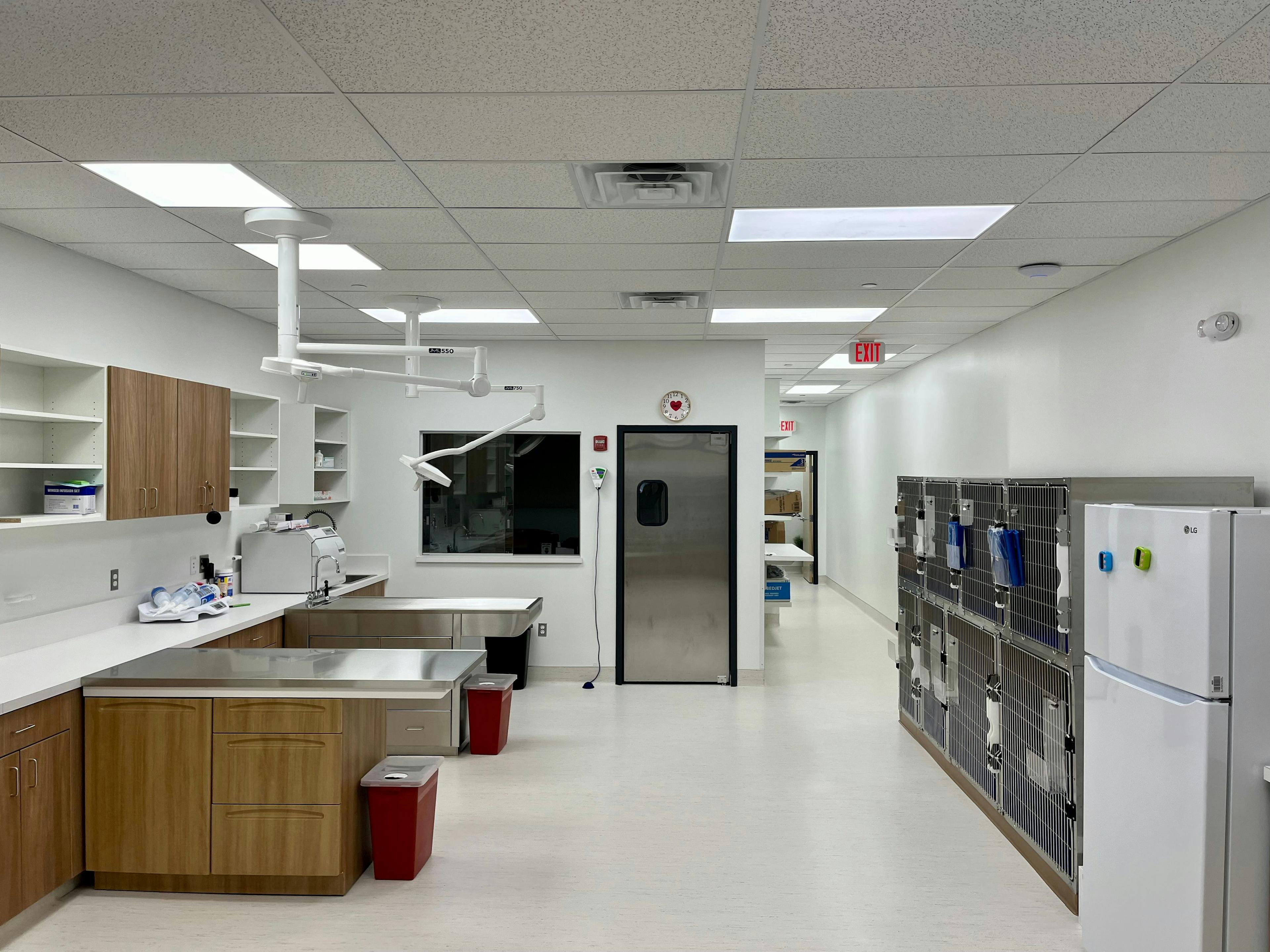 143 Veterinary Services interior. (Photo courtesy of Watkins Strategies)