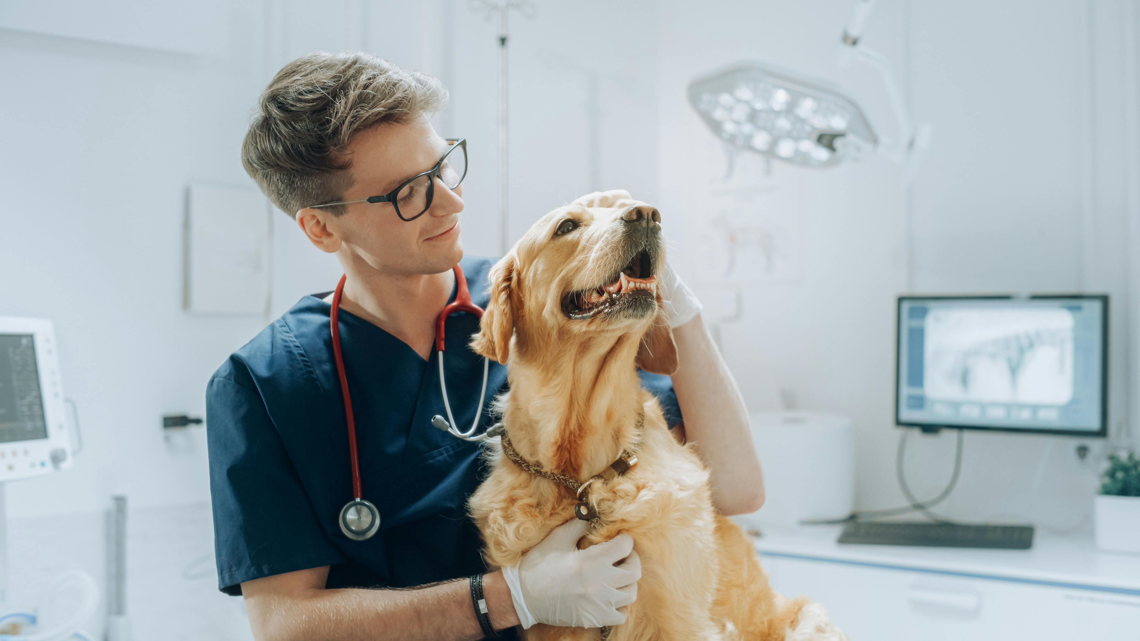 Online pet retailer launches first veterinary practice