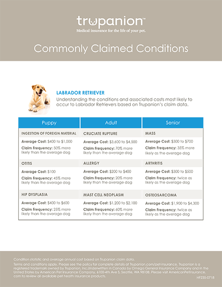 CommonlyClaimedConditions_Flyers_page1-450.jpg