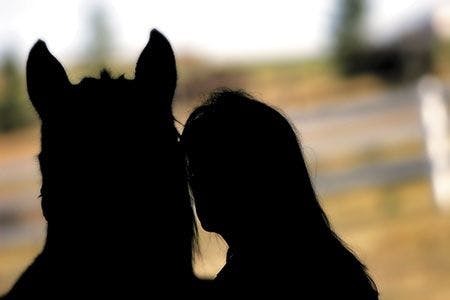 veterinary-horse-equine-woman-silhouette-450px-shutterstock_689109.jpg