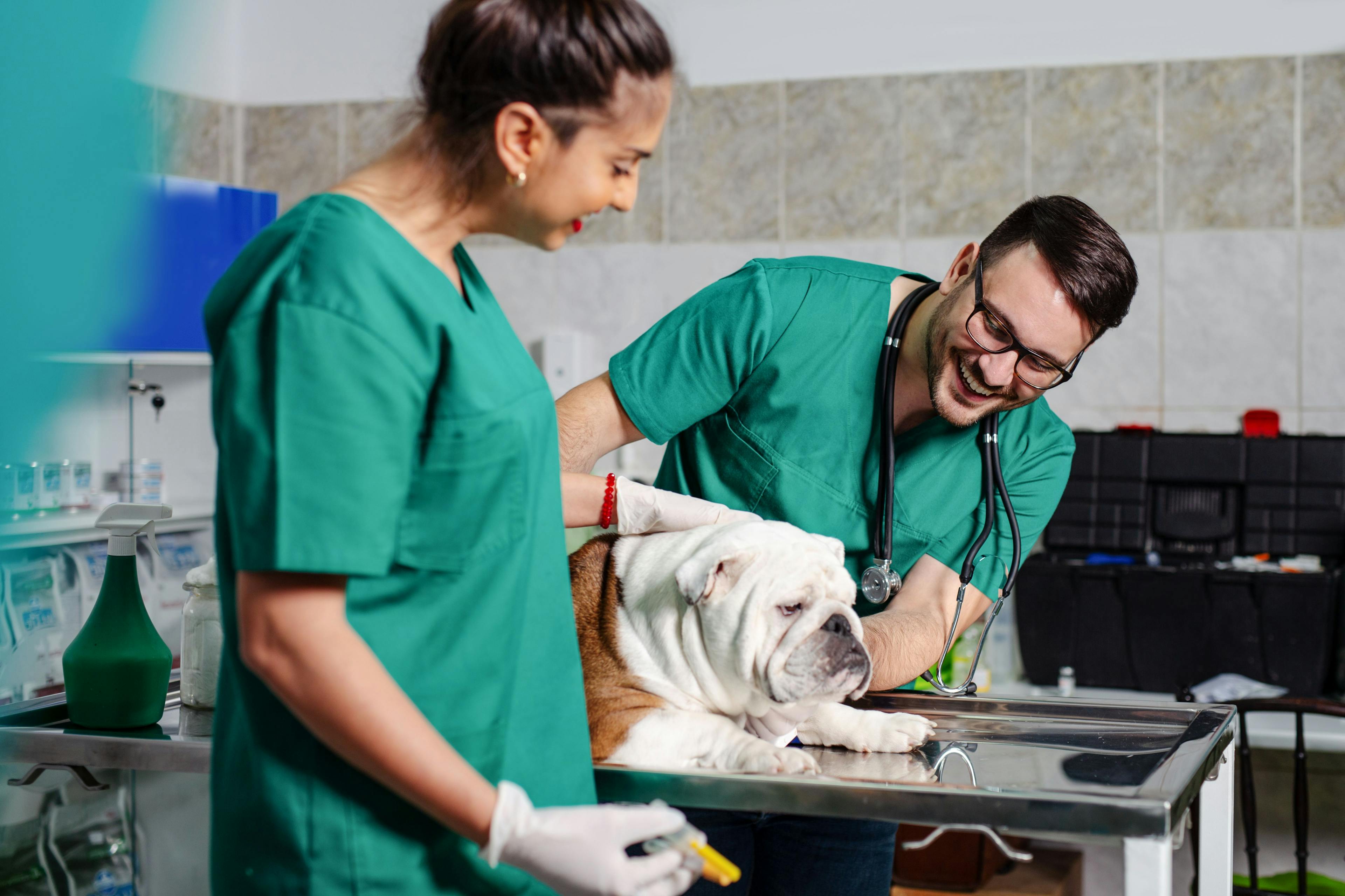 How to foster tighter bonds with your associate veterinarians 
