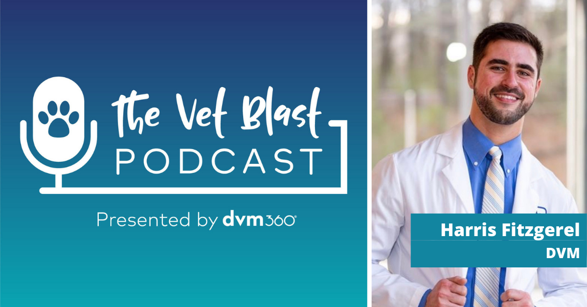 The Vet Blast Podcast Episode 84