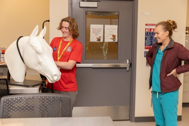 Dayson Judd practices haltering a horse on a model with guidance from lead veterinary technician Abigail Matzdorff (Image courtesy of the University of Arizona).