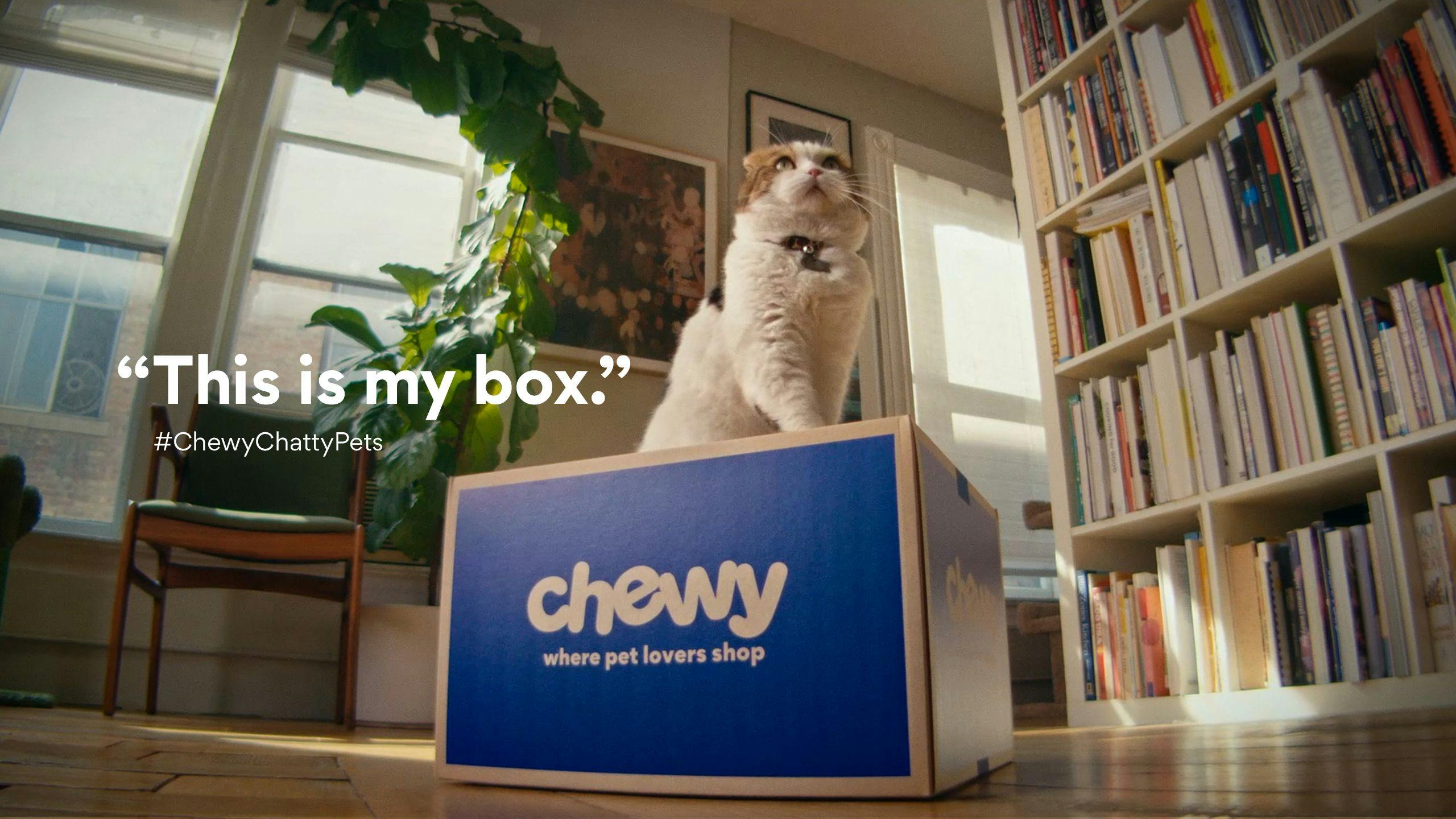Chewy launches video campaign that vocalizes pets' inner thoughts