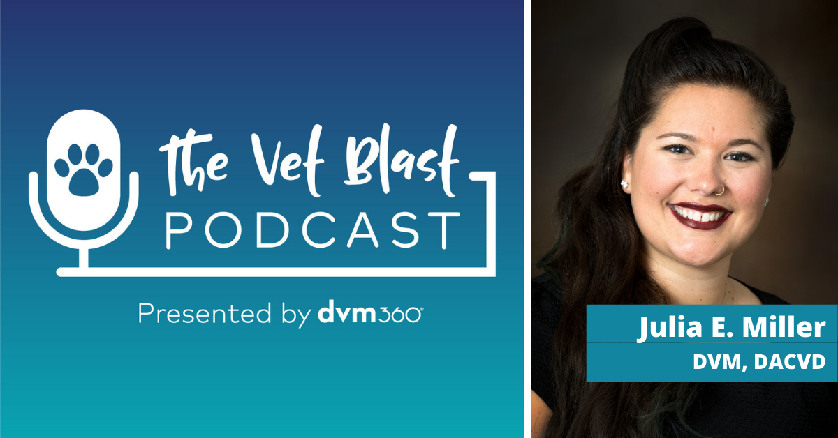 The Vet Blast Podcast Episode 83