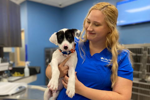 Clinic center: New veterinary locations opening across the country
