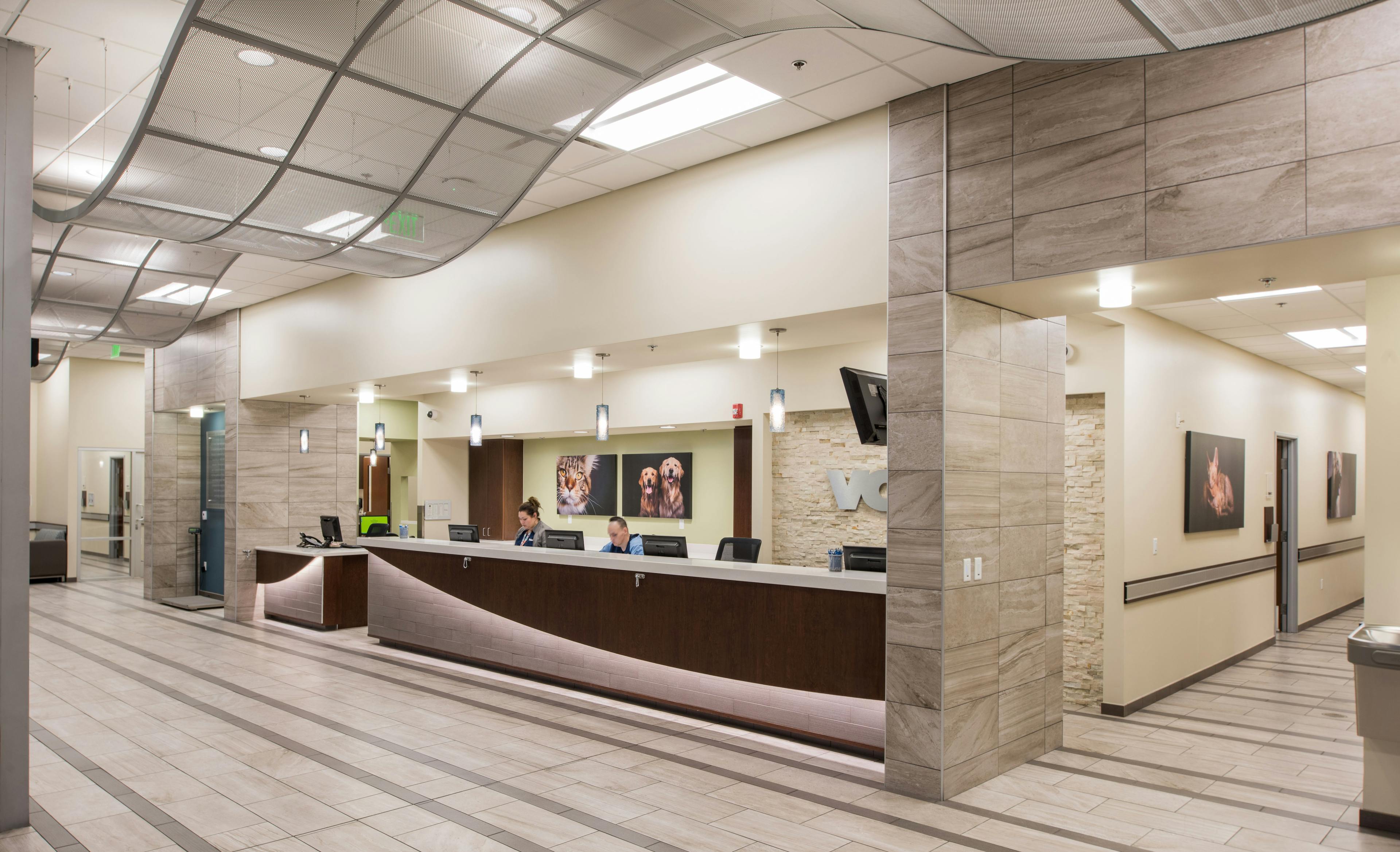 The reception area features neutral tones and separate dog and cat waiting areas to soothe and comfort arriving clients. A decorative wave feature hangs from the lobby ceiling, mimicking the ocean, a motif that is repeated elsewhere in the hospital.