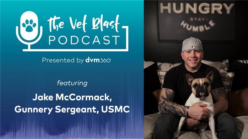 Pets and veterans