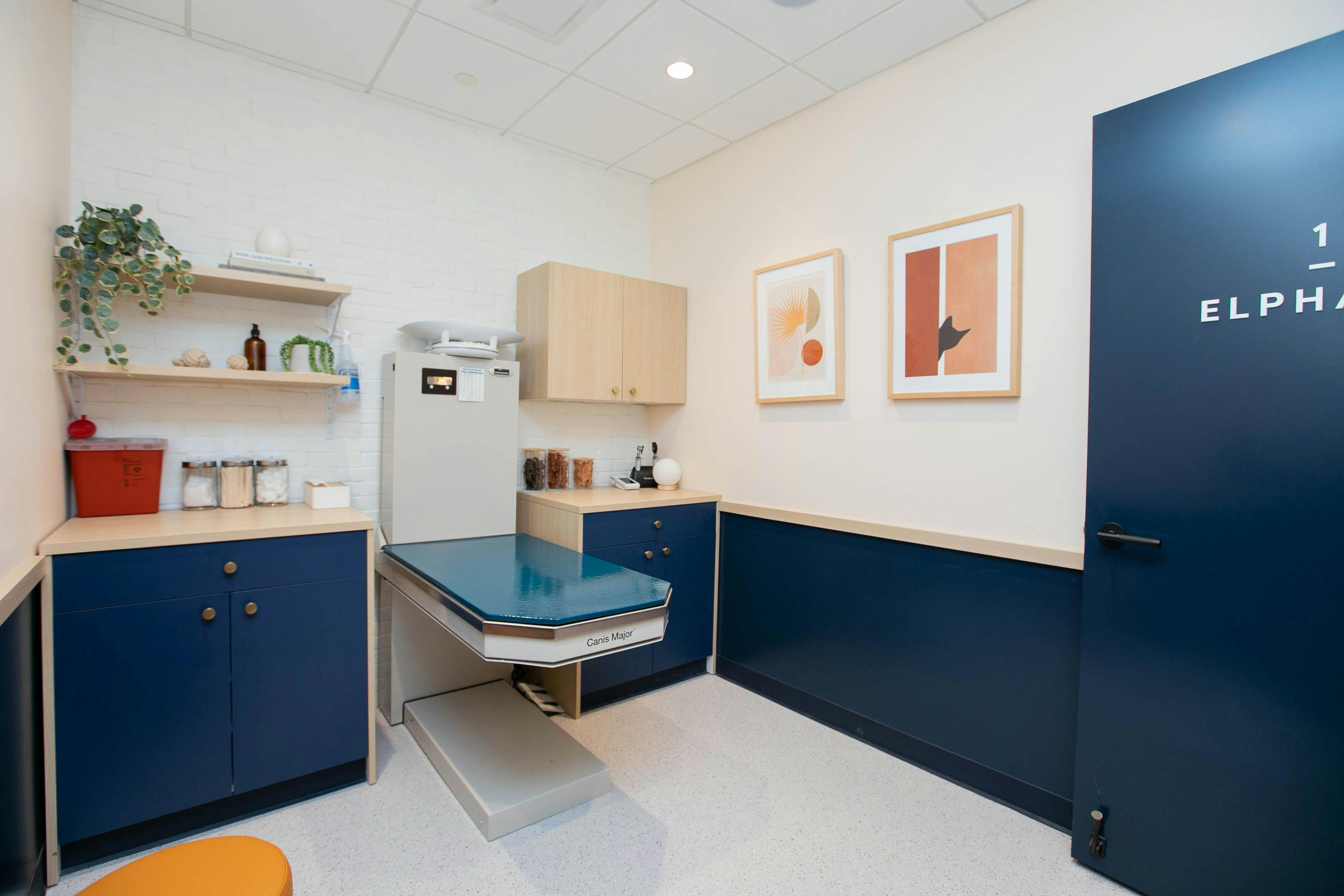 The color scheme and clean design elements extend into the exam rooms. White brick walls, open shelving, and deep blue cabinets give these rooms functional style.