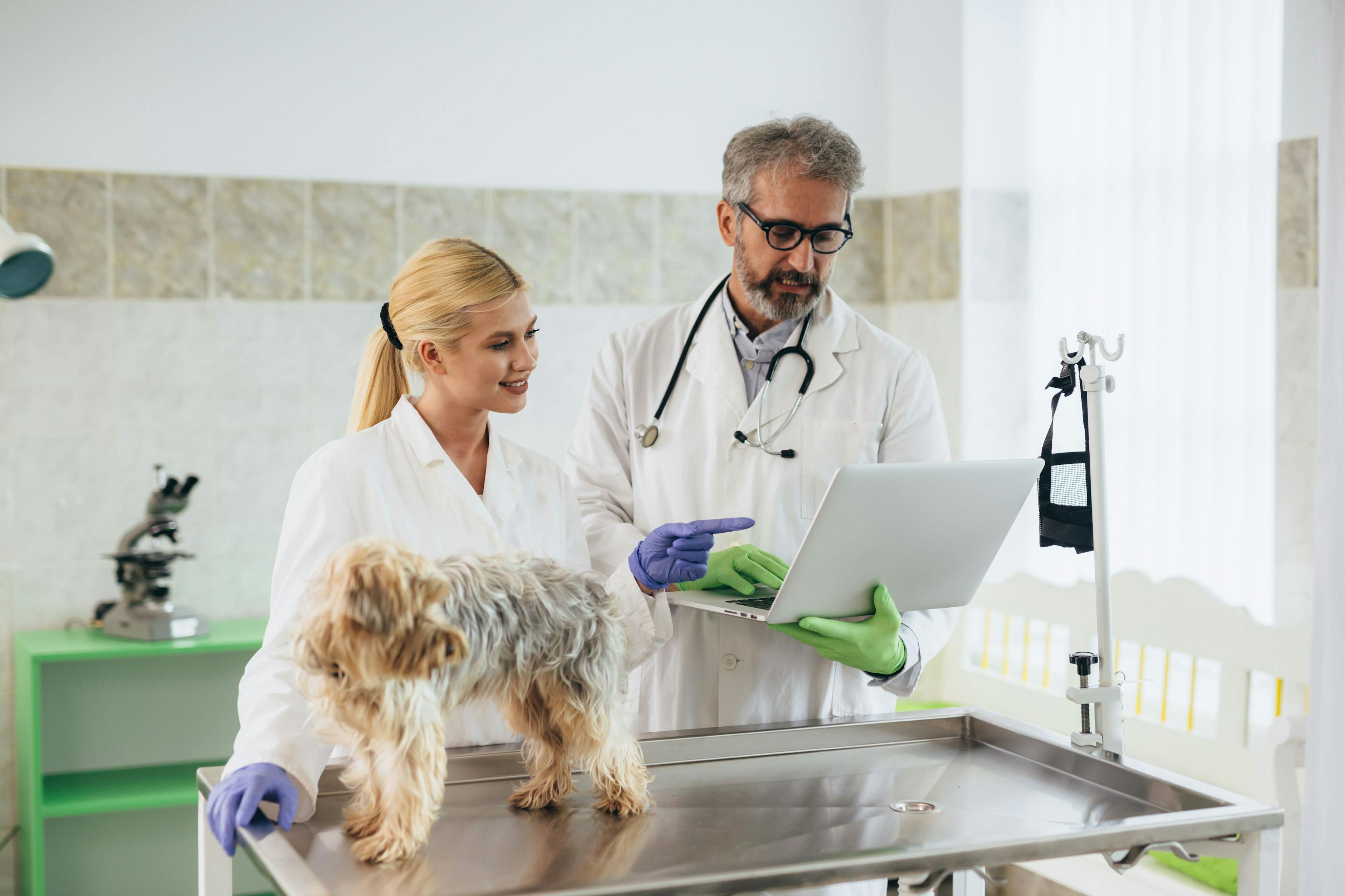 Commentary:The impending demise of the small veterinary practice 