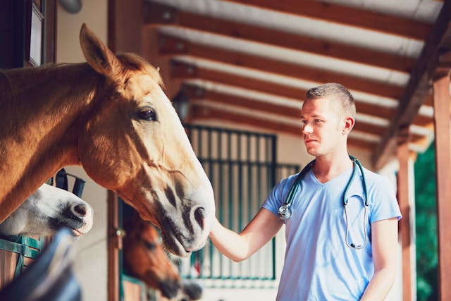 Harnessing equine atopy 