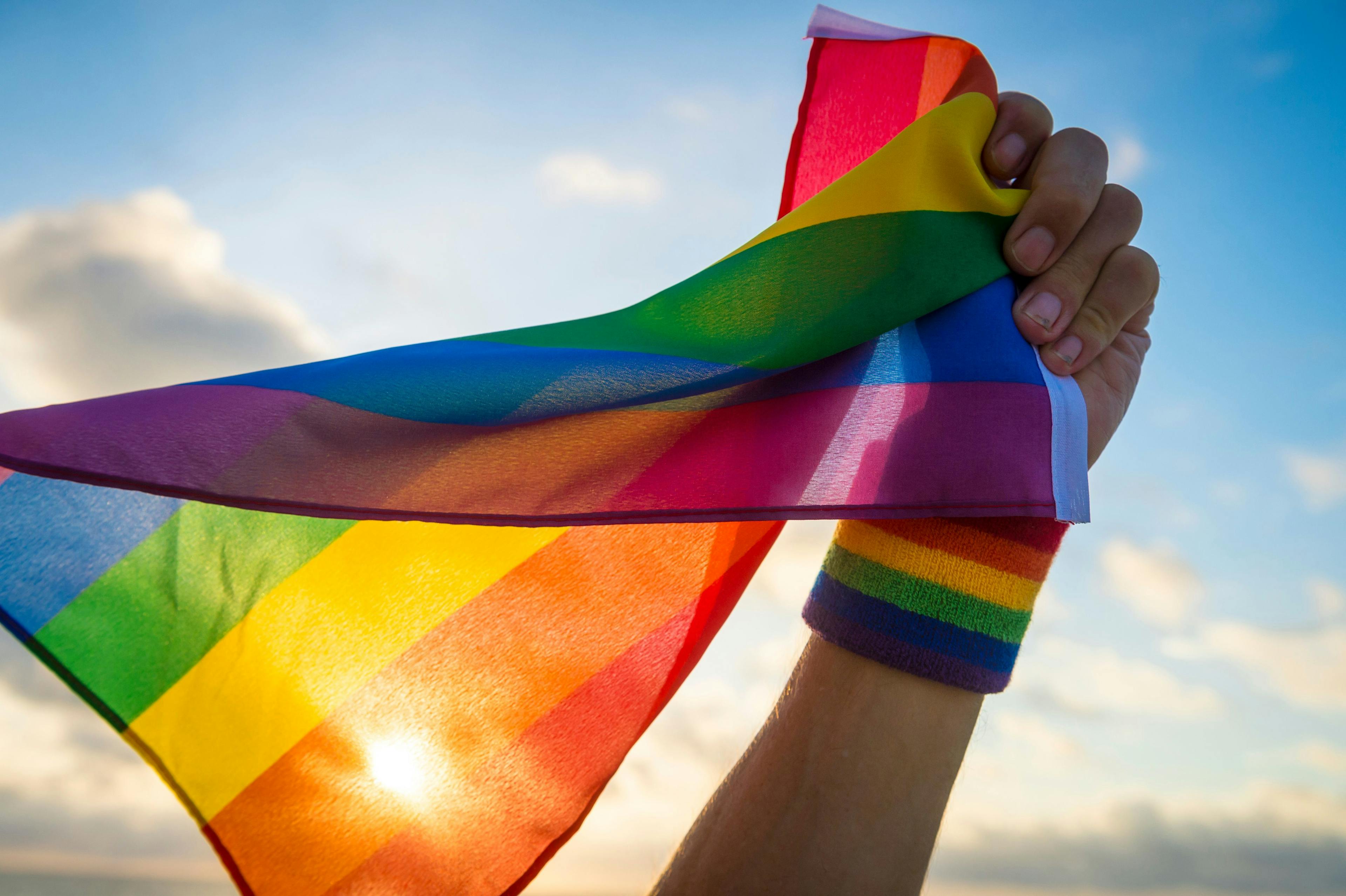 Pride Veterinary Medical Community issues statement on anti-LGBTQ+ legislation