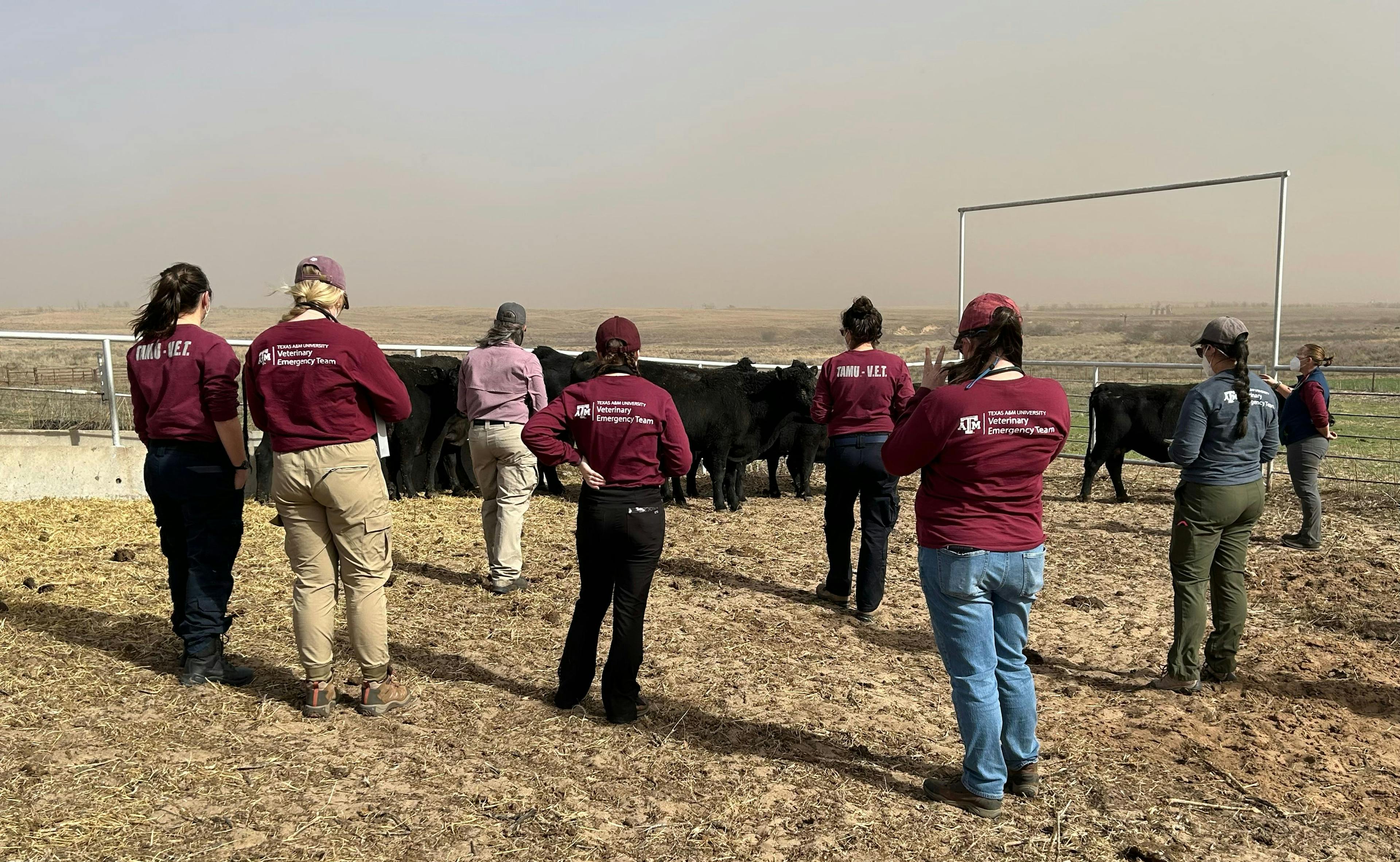Veterinary care during the Smokehouse Creek wildfire