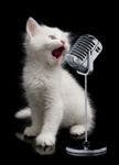 veterinary-kitten-sing-microphone-108223214_2999570-839407-1404210361347.jpg
