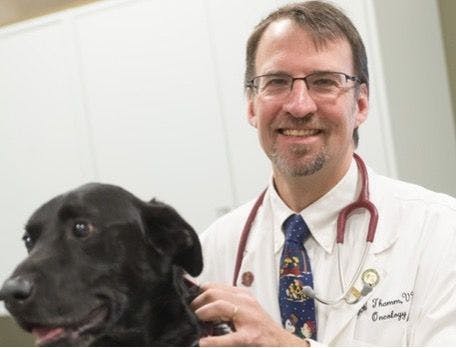 Douglas Thamm wins 2023 International Canine Health Award for oncology research