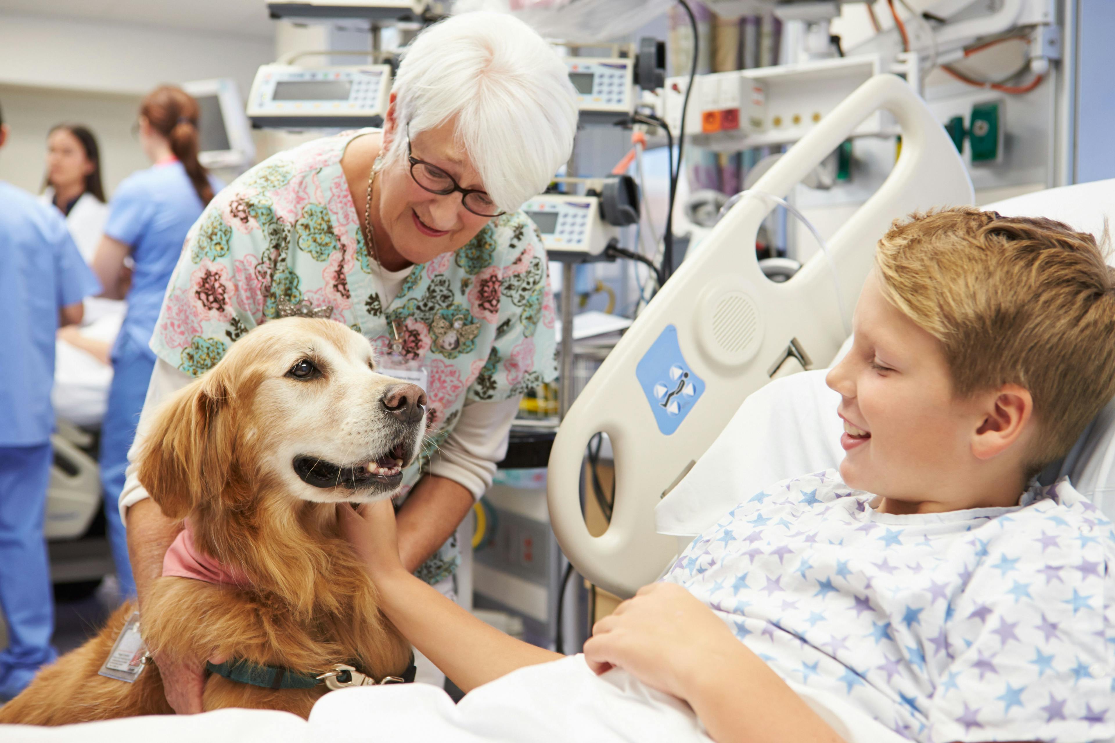 New program funds pet therapy for children with cancer 