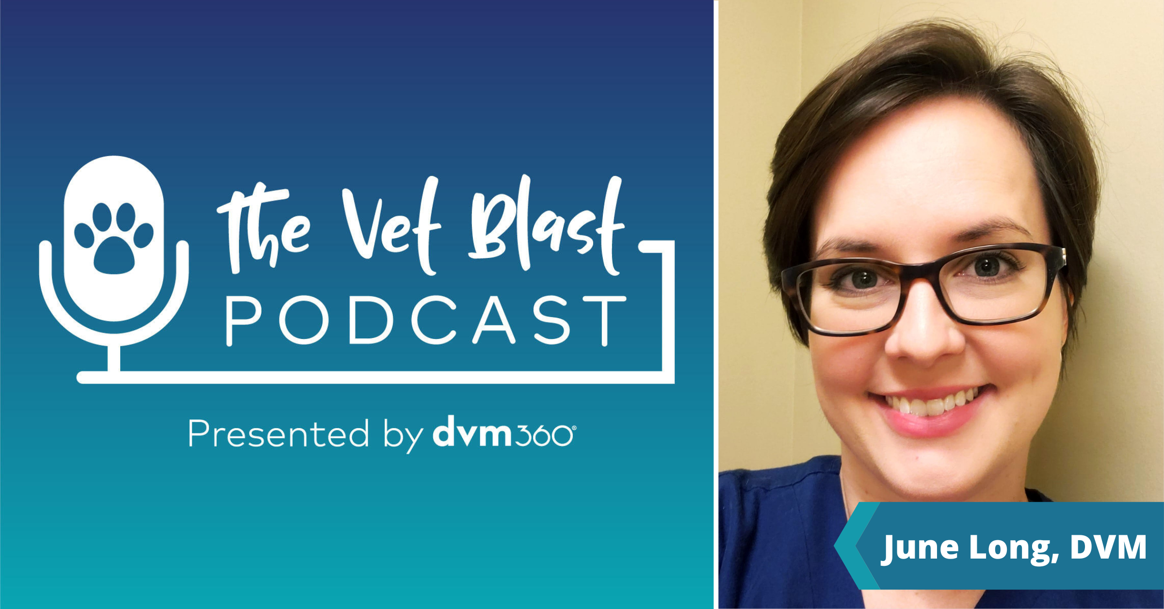 The Vet Blast Podcast with June Long