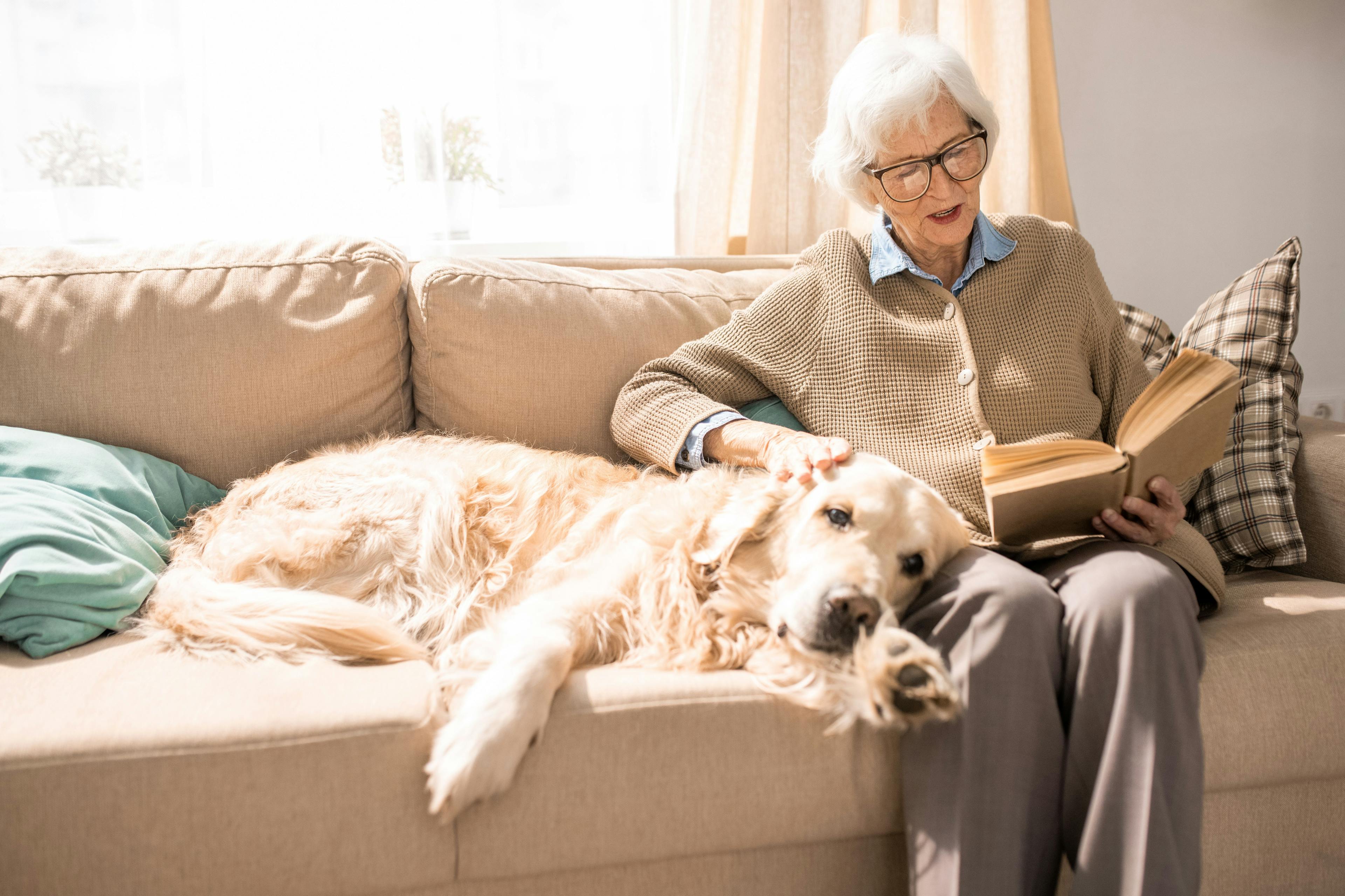 New pet contingency plan for senior citizens launches in Colorado