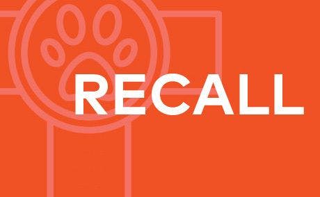 Pet food brand recalled for potentially fatal aflatoxin levels 