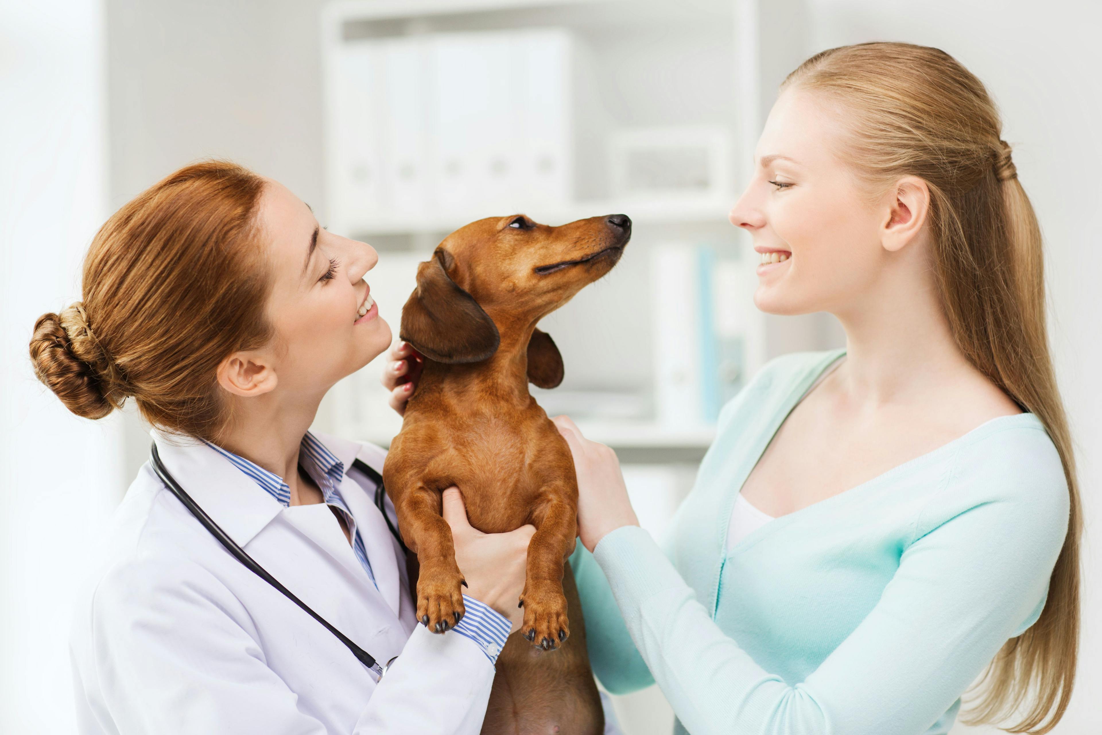 3 Must-reads on pet owner compliance 