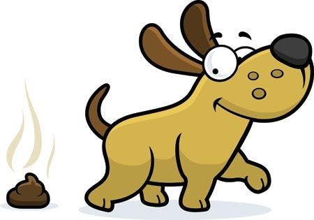 veterinary-a-cartoon-illustration-of-a-dog-pooping-450px-shutterstock_228683842.jpg