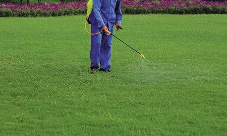 veterinary-gardener-is-spraying-of-insecticides-at-lawn-450px-shutterstock-315936923.jpg