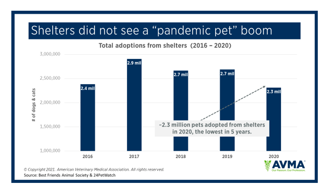 Table 1. Shelters did not see a "pandemic pet" boom