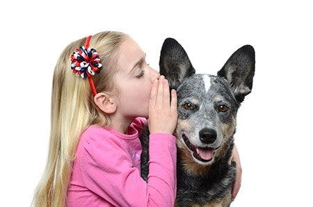veterinary-girl-whisper-dog-ear-AdobeStock_62409554-450.jpg