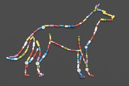 veterinary-dog-tablets-in-the-shape-450px-shutterstock-637264174.jpg