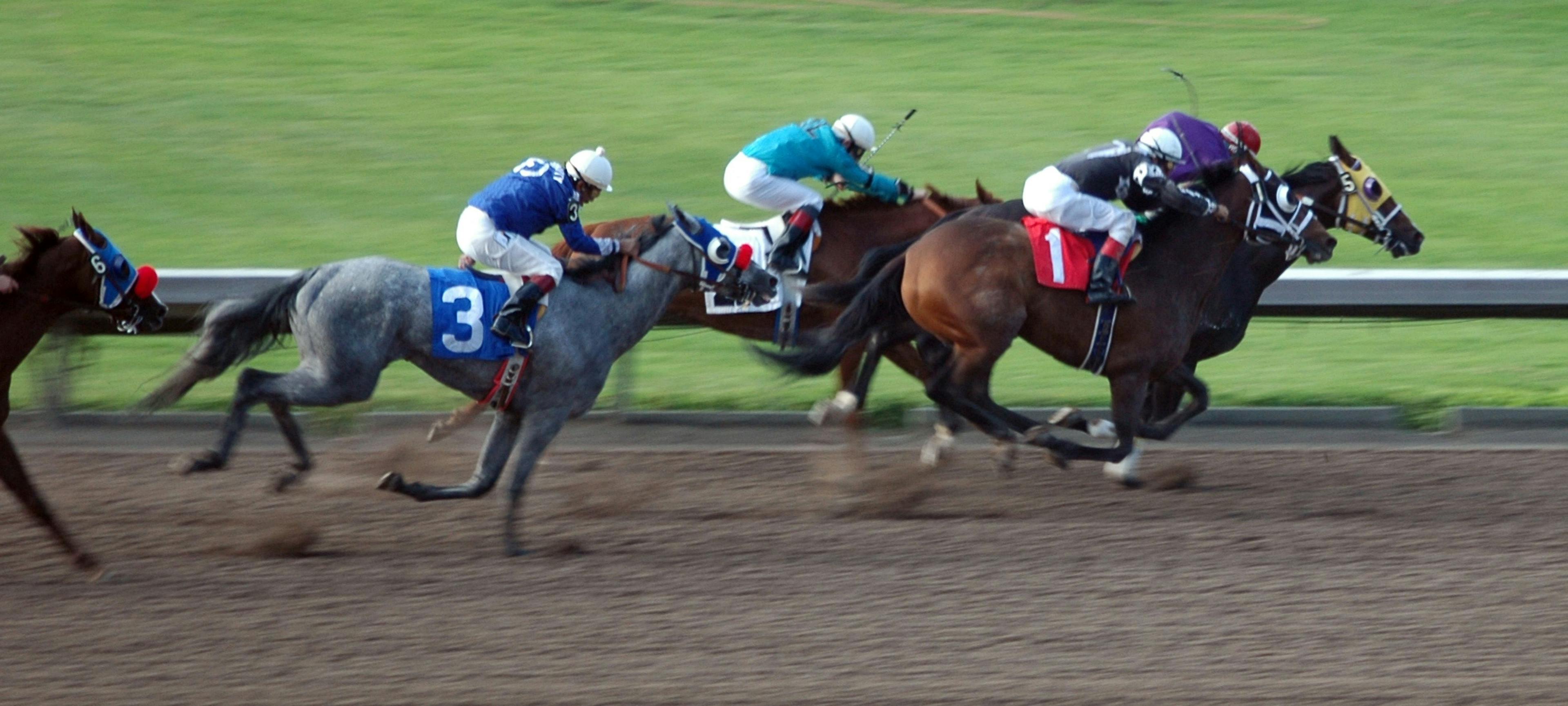 racehorses running on track