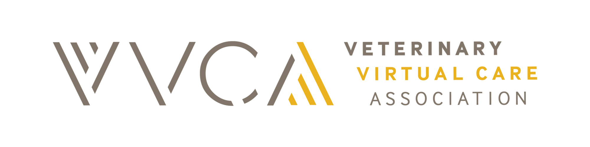 New VVCA executive director named