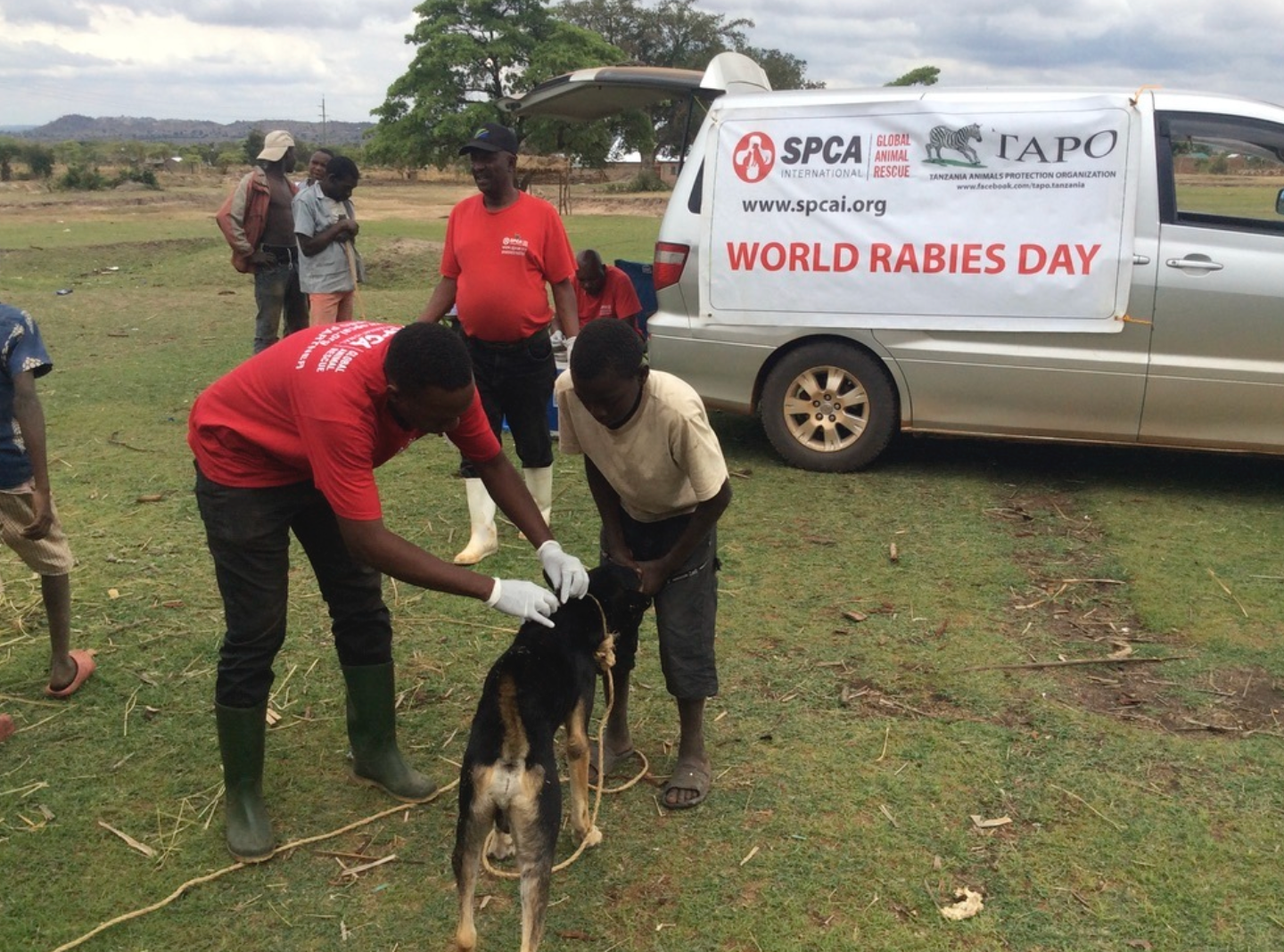 SPCA International awards grants to vaccinate 12,000 animals against rabies  