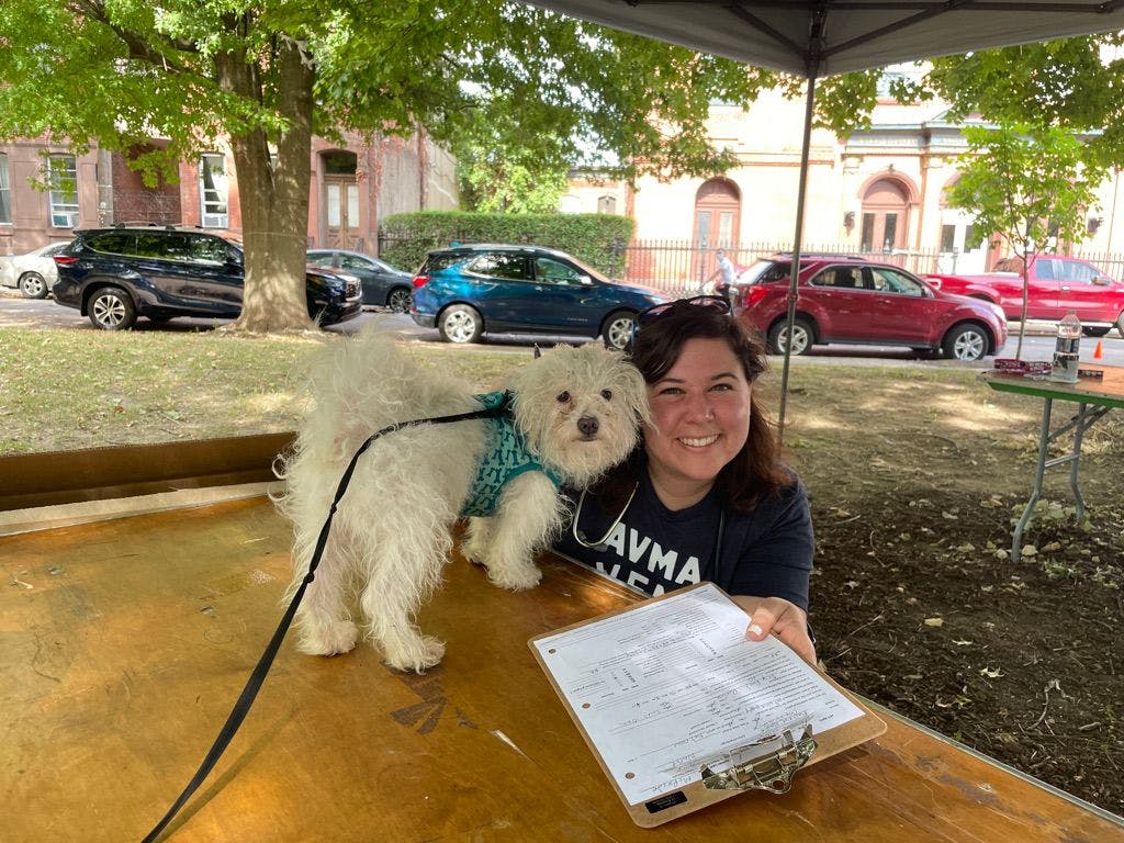 AVMA attendee volunteer with patient at pop-up station 