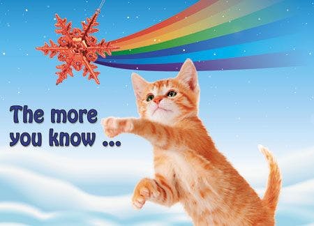 veterinary-cute-orange-kitten-playing-with-a-red-christmas-snowflake-ornament-shutterstock-162610493_450.jpg