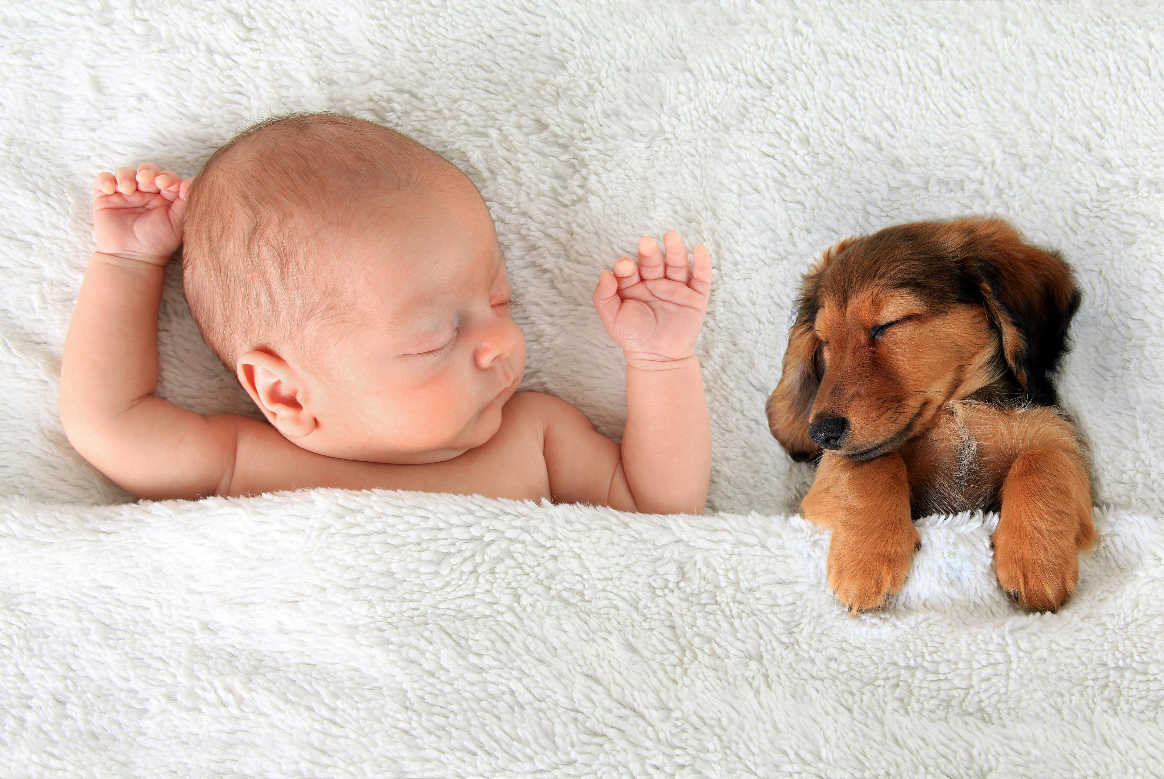 baby and puppy sleeping