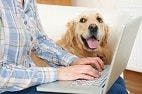 Pet Owners: "be A.W.A.R.E." When Purchasing Pet Medication Online