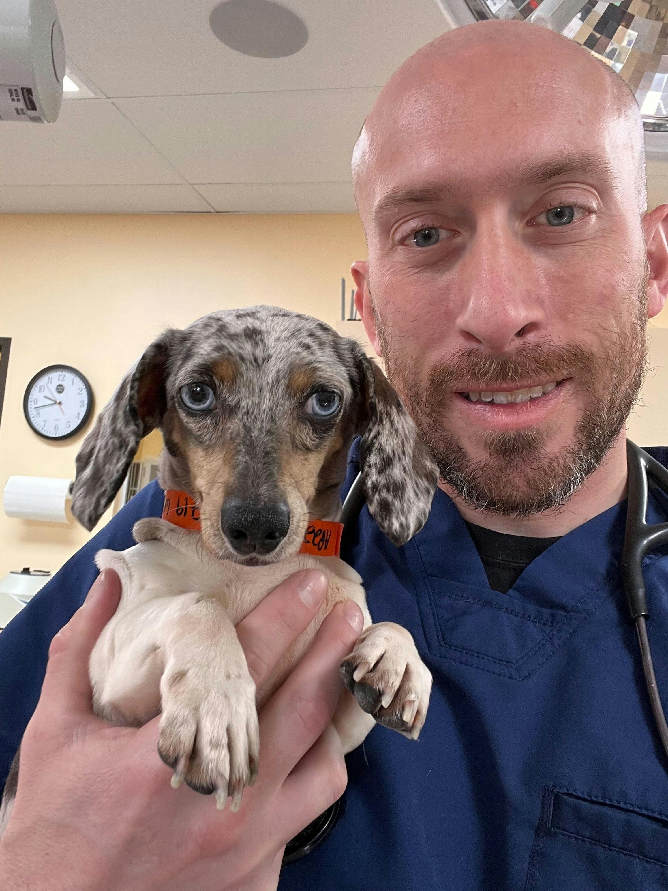 Andrew Ciccolini, DVM, MSOL, director of non-profit initiatives at Galaxy Vets and head of Galaxy Vets Foundation, posing with an adorable patient (Photo courtesy of Galaxy Vets). 