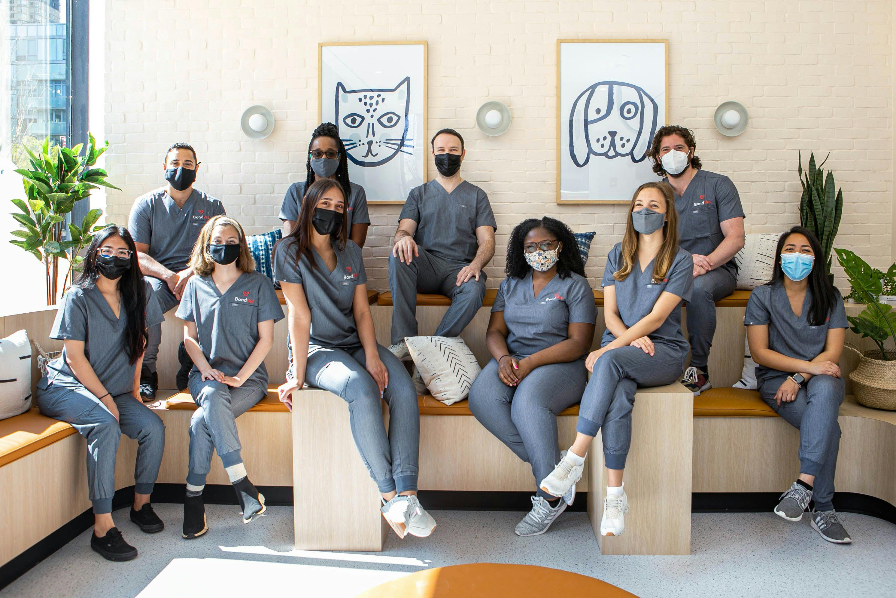 Bond Vet offers 100% paid healthcare to its team members, pictured above (Photo courtesy of Bond Vet). 