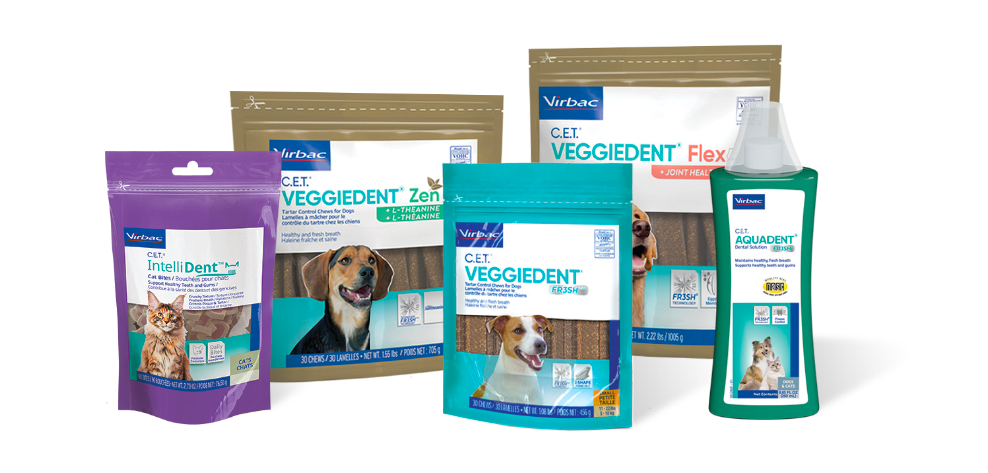 Boost client pet dental care compliance with practical solutions