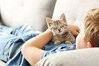 Childhood Cat Ownership May Result in the Development of Schizophrenia