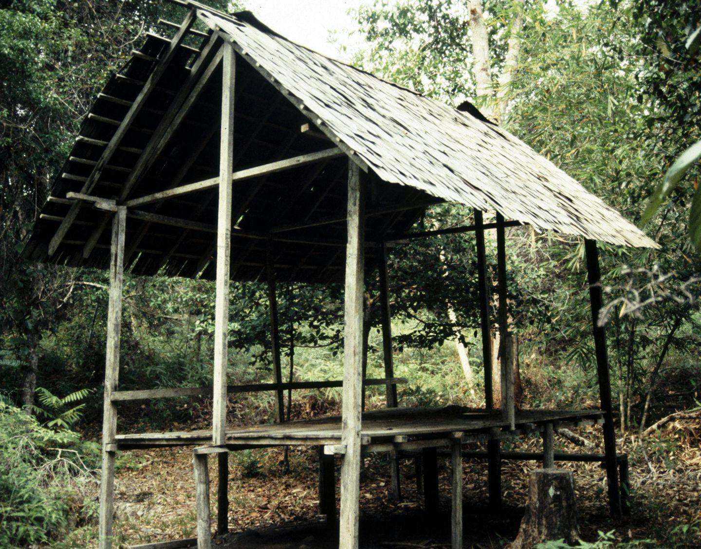 What started as just this hut built by Brindamour eventually became a village of wooden structures for staff, researchers, students, and park rangers.