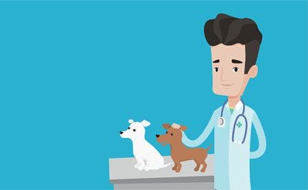 veterinary-two-medical-banners-with-space-for-text-vector-flat-design-horizontal-layout-shutterstock-body.jpg