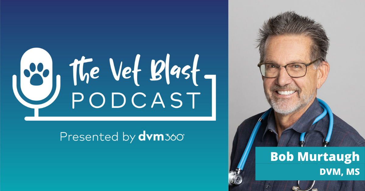 Episode 82: Putting people first in the veterinary profession