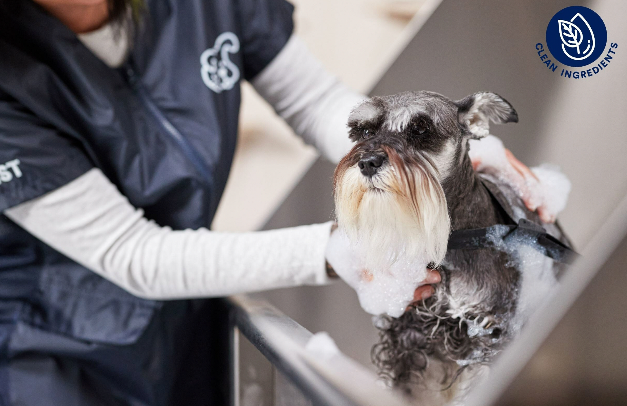 Petco launches clean grooming initiative