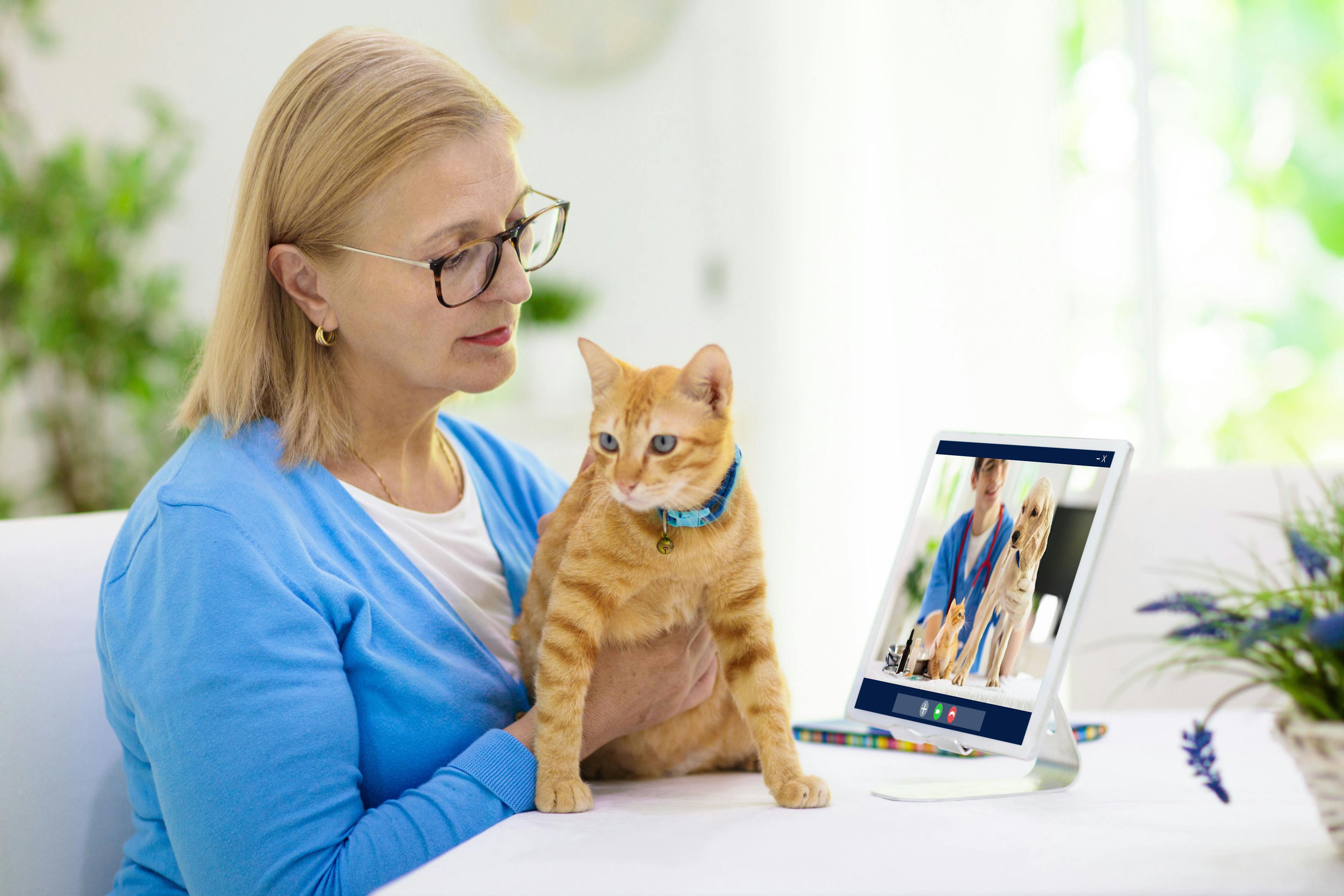 Advances in veterinary telemedicine: When it comes to learning, share and share alike