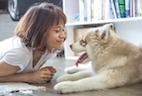 How Owners Attribute Emotions to Their Pets