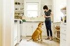 What's More Important to Your Dog: Food or Praise?