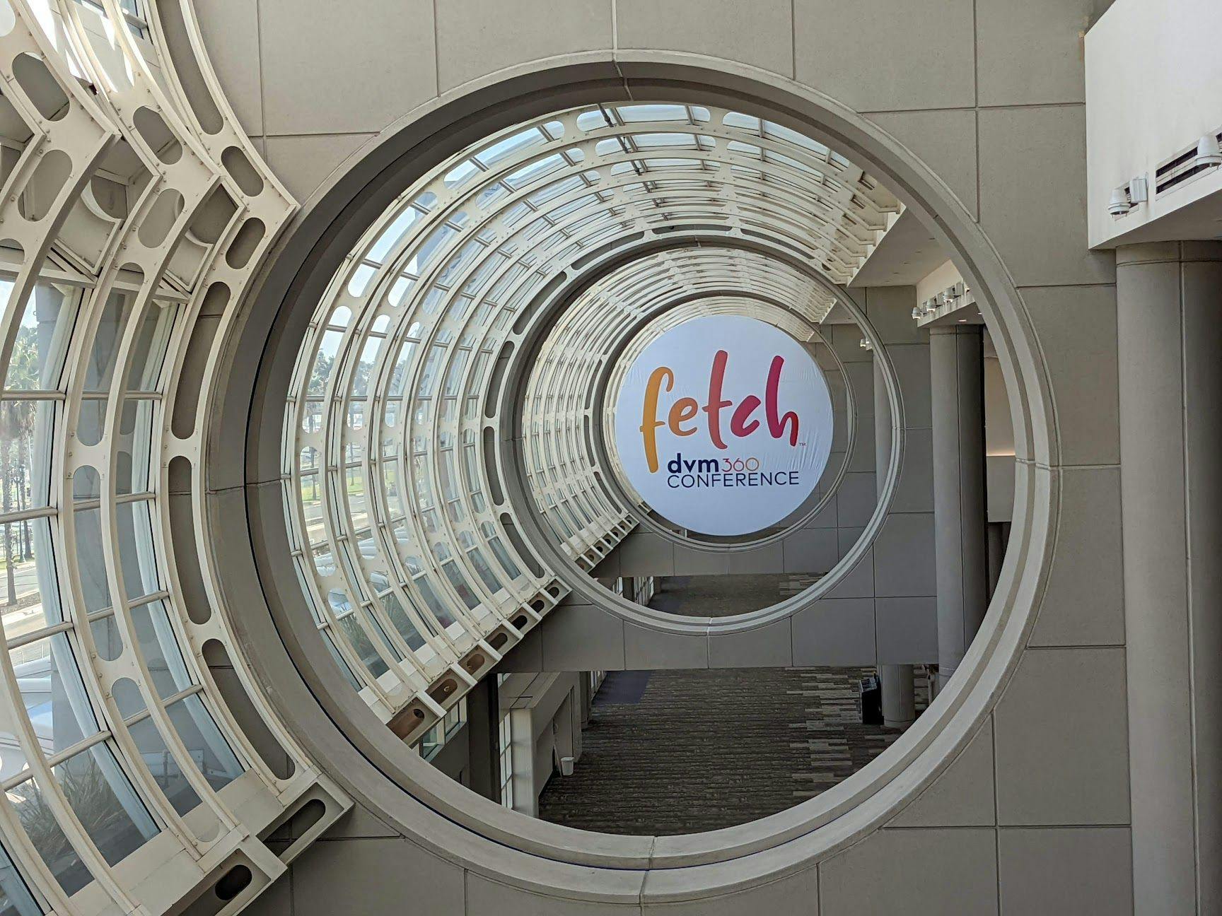 3 Must-reads recapping the 2021 Fetch dvm360® San Diego conference