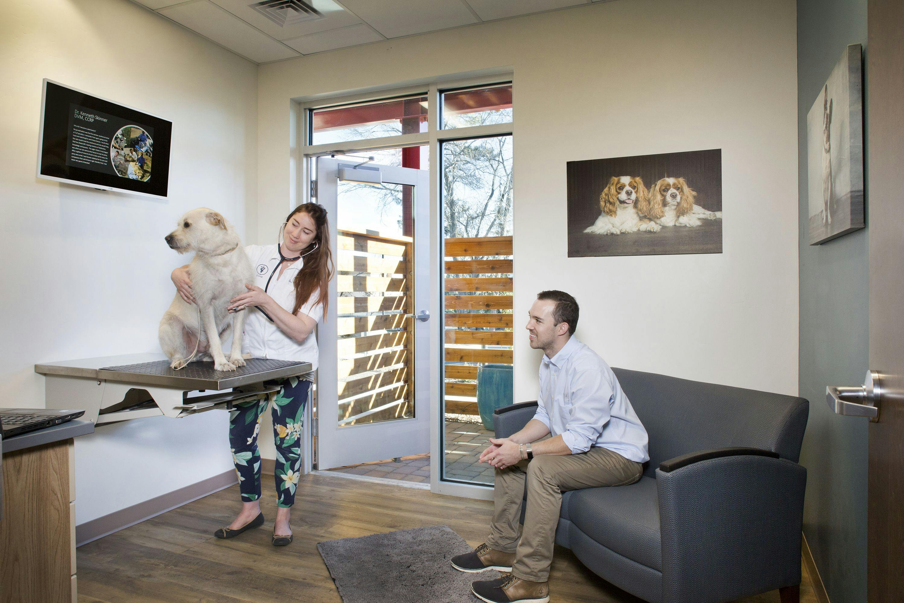 Consultation room at Prescott Animal Hospital. (Courtesy of Tim Muphy/Foto Imagery)