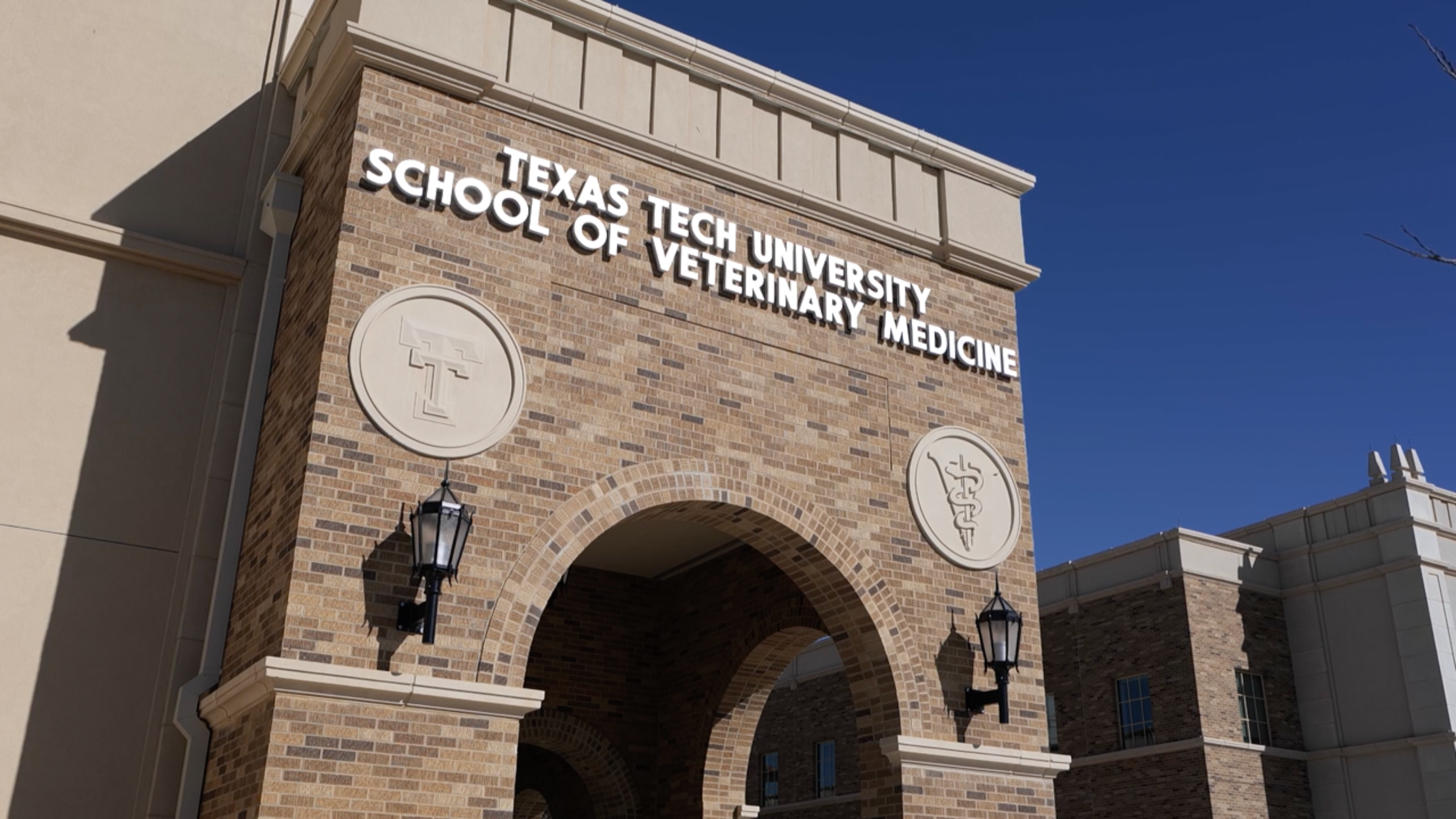 Texas Tech opens Texas’ first new veterinary school in more than a century